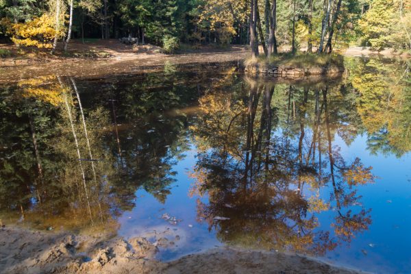 Spiegelung am Stausee, Dresdner Heide