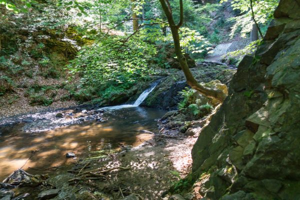 Wasserfall an der Prießnitz, Dresdner Heide