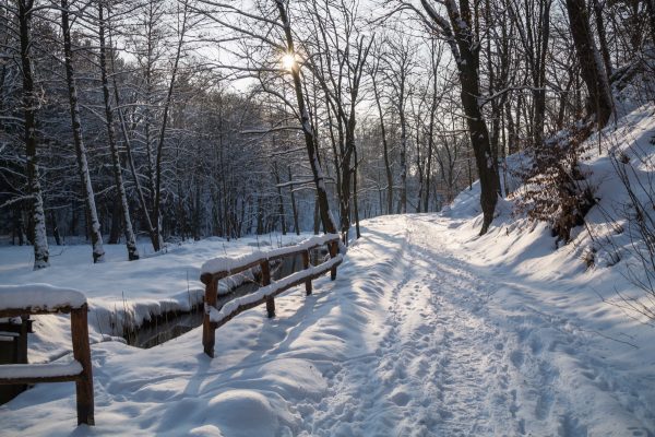 Im Hüttertal, Wanderweg an der Großen Röder