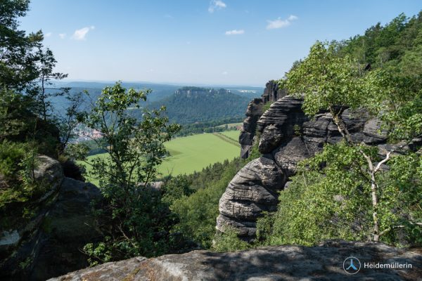 Ausblick vom Lilienstein auf die Festung Königstein