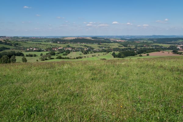 Ausblick nahe der Quohrener Kipse in Richtung Dresden