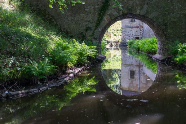 Spiegelung im Schlossgraben, Schloss Hermsdorf