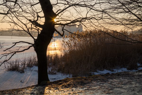 Abendlicht im Schlosspark von Moritzburg, Sonnenuntergang im Winter